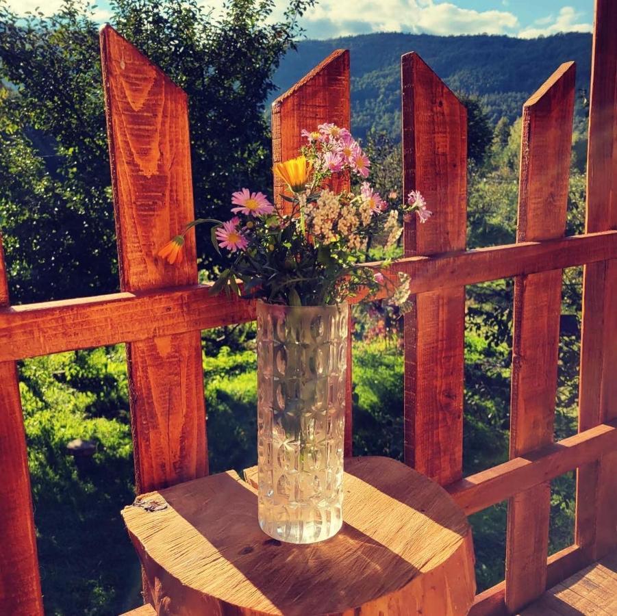 Eco Kutak Villa Mojkovac Ngoại thất bức ảnh